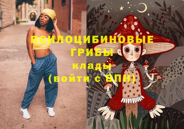 амф Горно-Алтайск