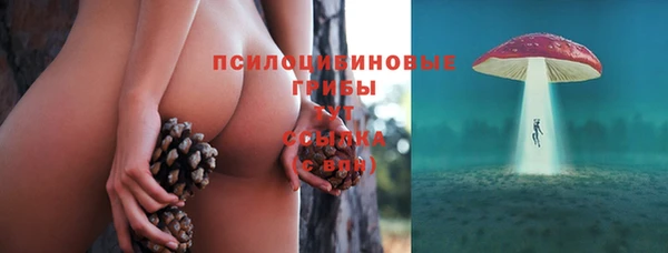 герыч Горняк