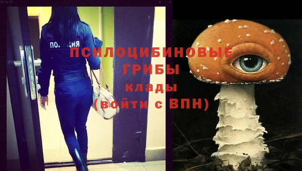 герыч Горнозаводск