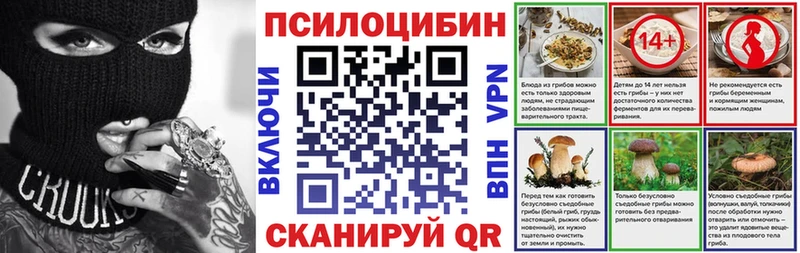 Псилоцибиновые грибы Cubensis  Сургут 